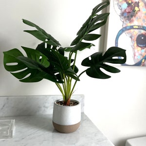 Artificial Monstera Deliciosa Plant 20" Fake Tropical Palm Tree Faux Split Philo Plants in Pot, Indoor Outdoor Home Office Desk, Bedroom