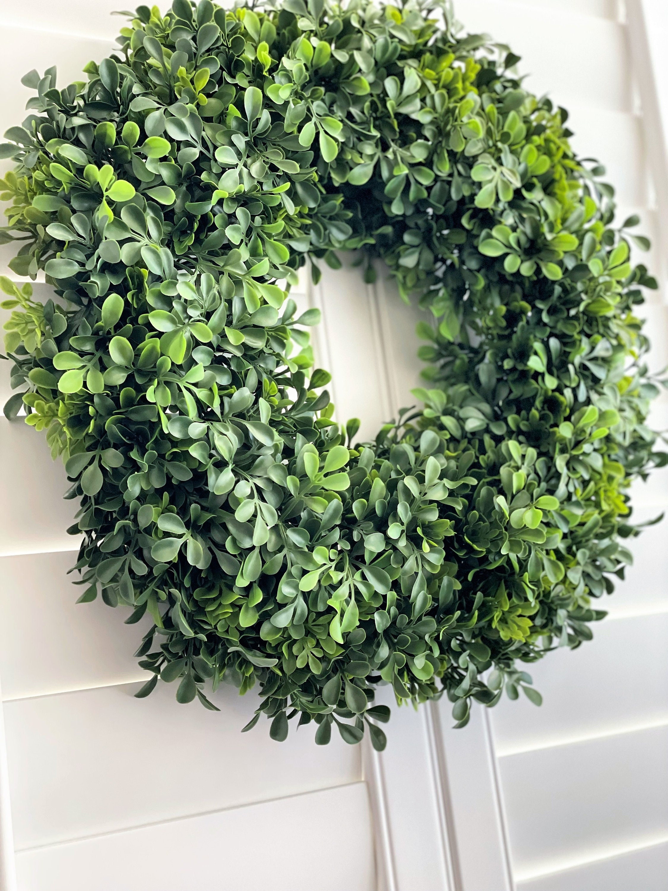 Preserved Boxwood Wreath 19" Green Under 24 inches 