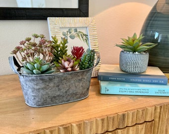Artificial SUCCULENT w/Various Faux Succulents in Oval Tin, Small Realistic, Indoor Faux Succulents for Desk, Bathroom or Bedroom