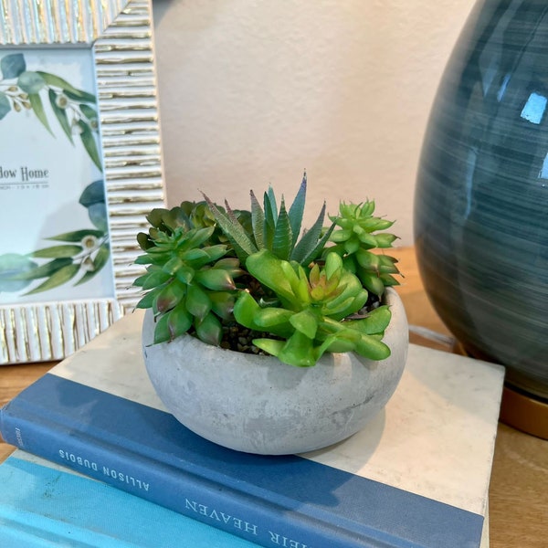 Faux Succulent in Round Cement Pot