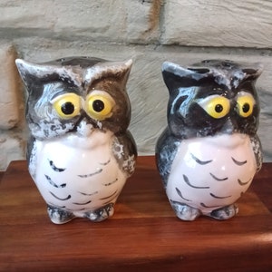 Pair of Glossy Ceramic Owls, Salt and Pepper Shakers,  Funny Expressions, They&#39;re a hoot and arrive with FREE SHIPPING!