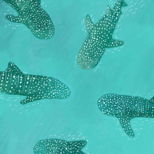 Requins-baleines sous la mer / Impression giclée image 3