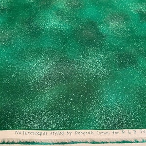 Naturescapes - Designed By Deborah Corsini for P&B Textiles - **By The Half Yard**