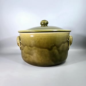 Op de afbeelding: Een groene keramische ovenschaal met een deksel. De schaal heeft twee handvatten en een knop op het deksel. De kleur is een gedempt olijfgroen, met een licht gestructureerd oppervlak. De schaal is ontworpen om in te koken en te serveren.