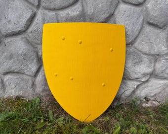Shields for Reenactment