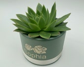 succulent arrangement mothers day gift box