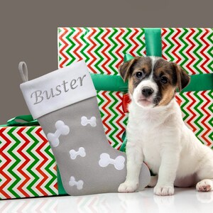 May include: A grey Christmas stocking with the name "Buster" embroidered on it, next to a wrapped gift with red and green chevron pattern and a small Jack Russell terrier puppy.