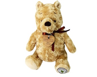 pooh bear dog toy