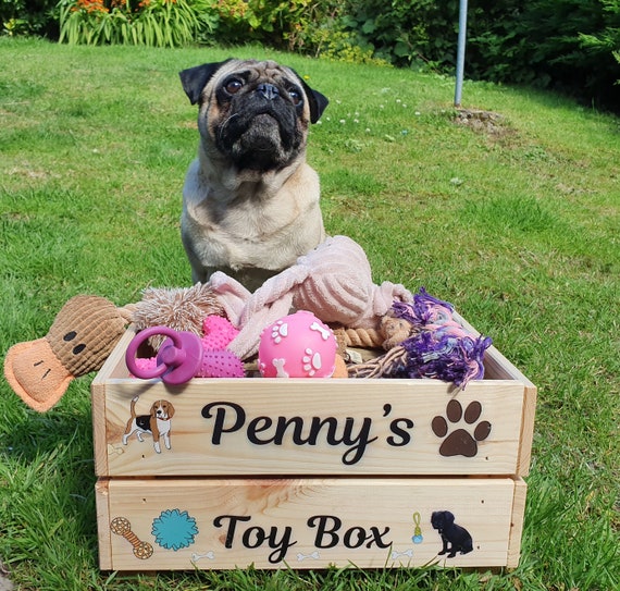 Dog hot sale carry box