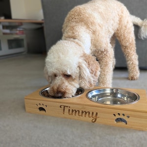 May include: A dog eating from a wooden double dog bowl. The bowl has two stainless steel inserts and is engraved with the name "Timmy" and paw prints. The dog has light brown and white fur. The bowl is made of bamboo.