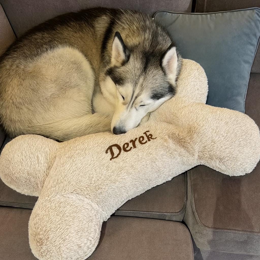 Dog Bone Pillow UK