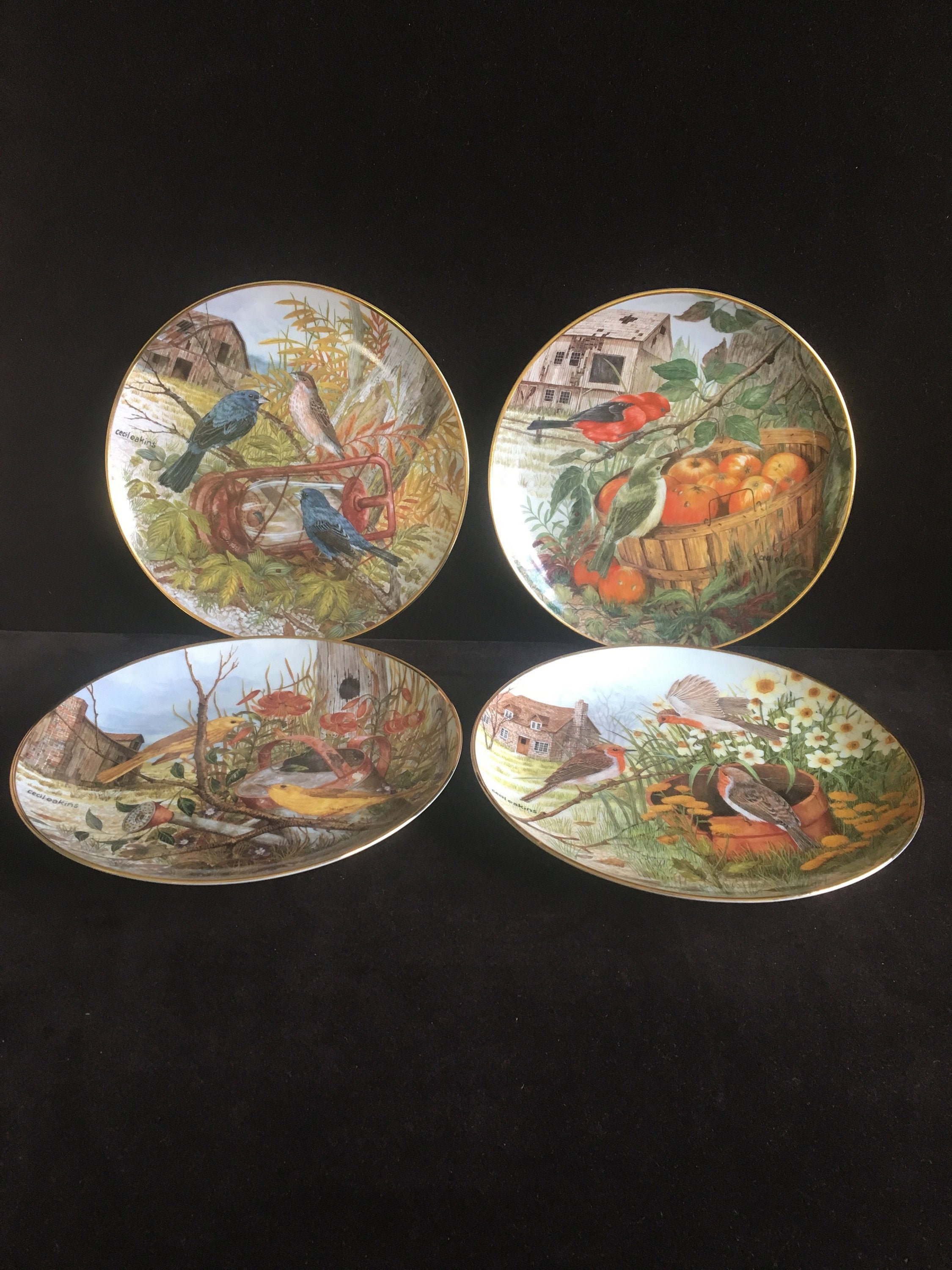 Set Of 4 Franklin Mint Bird Plates By Artist Illustrator Cecil Etsy