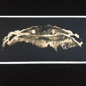 Important Signed Photograph by Artist Gary Schneider