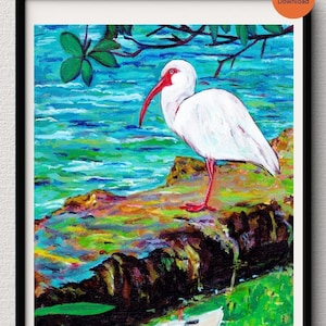 White Ibis Digital Print, Florida Birds Painting, Tropical Birds, Florida Keys, Instant Download, Digital Painting,  Digital Poster