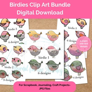 Arte de scrapbook de pássaros, artesanato em papel, clip art de scrapbook, arquivo digital, pássaros de mídia mista, pássaros digitais, pássaros caprichosos, suprimentos de diário