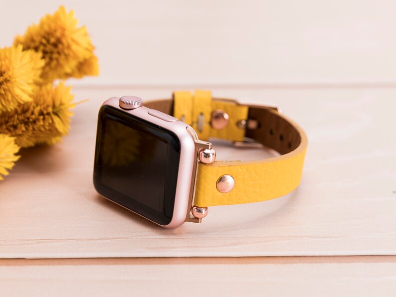 can you use apple watch bands on fitbit versa 2