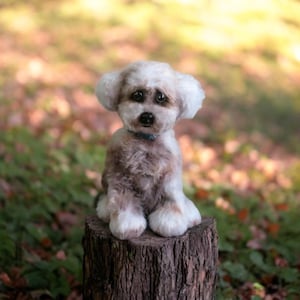 Modèle réaliste au crochet en peluche pour chien. Avec 6 didacticiels vidéo et un modèle écrit complet.