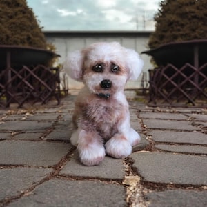 Modèle au crochet en peluche pour chien Shih Tzu Crochet. Avec 6 didacticiels vidéo et un modèle écrit complet.