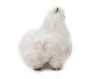 Alpaca pluche pop 8" pluizig vet handgemaakt echt alpacabont favoriet pluche trendy grappig cadeau