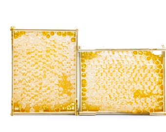 2 x 650g 100% Fresh Natural Honey Comb Of Wildflower - Natural & Pure Honey In A Comb