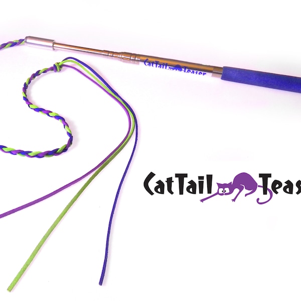 Extendable CatTail Teaser