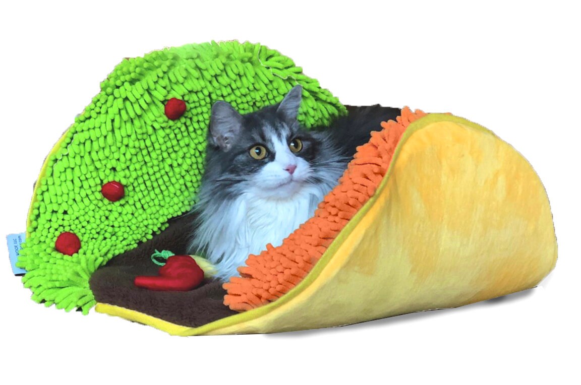 cat taco bed