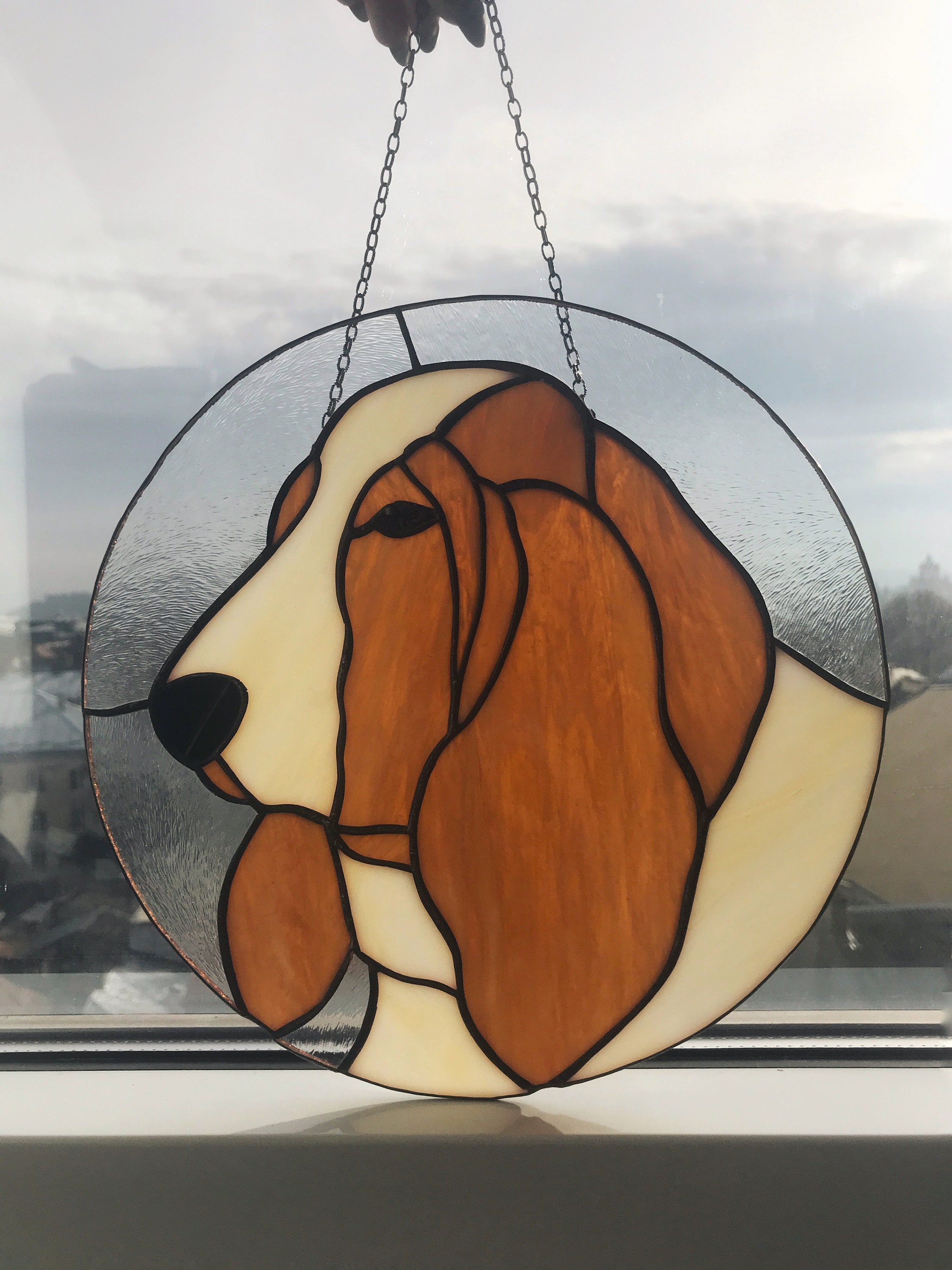 basset hound muzzle