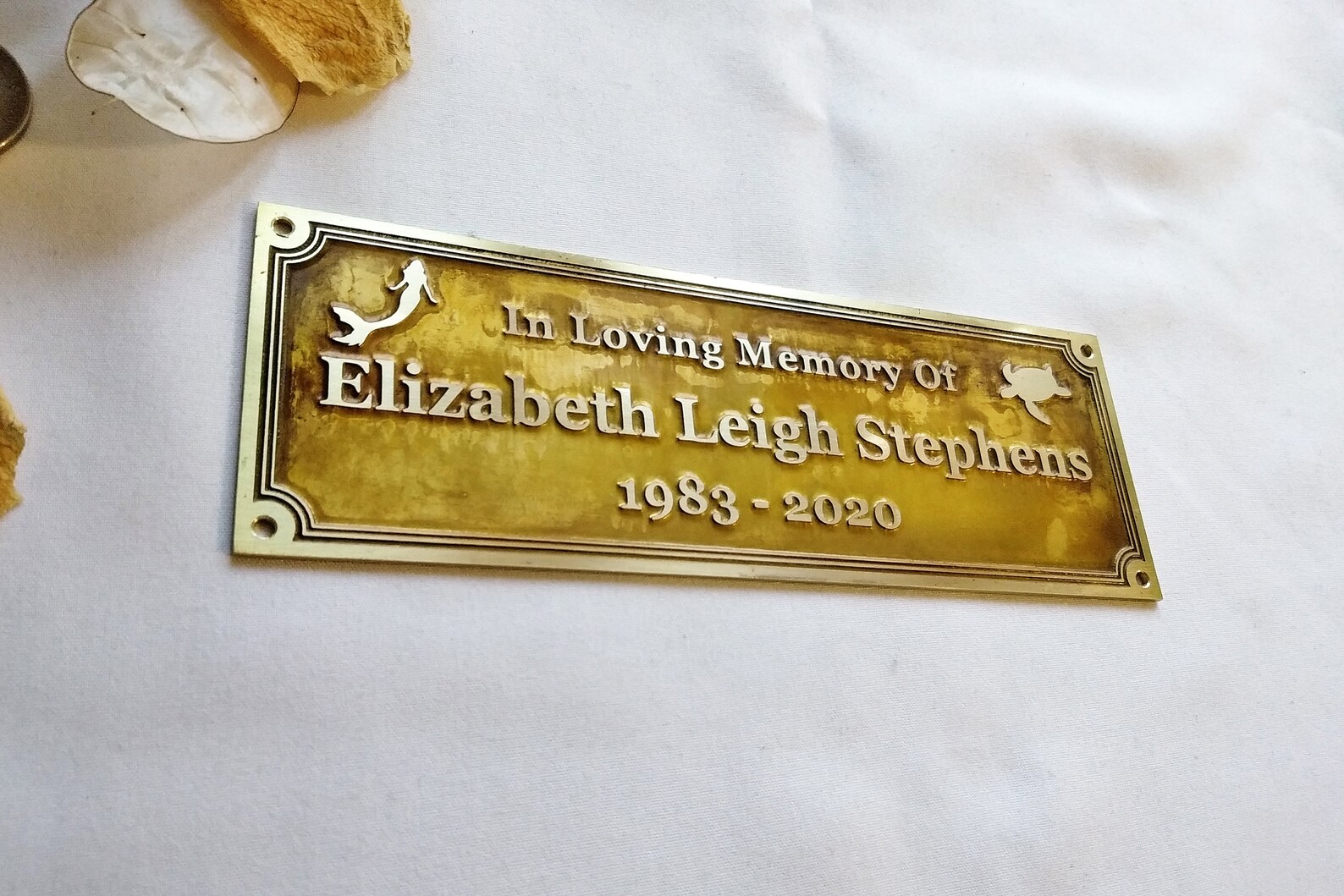 Brass Bench Plaque Memorial Nameplate Bench Name Plate 100 Etsy