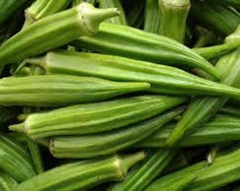 Okra Clemson Spineless Seeds 秋葵 - 50 Seeds