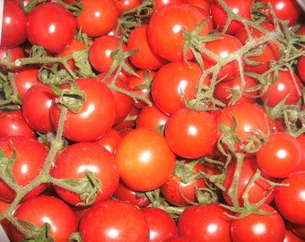 Red Cherry Tomato 櫻桃小番茄 - 20 Seeds