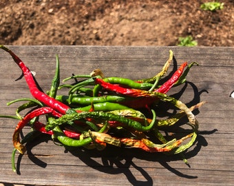 May include: A pile of dried red and green chili peppers on a wooden surface.