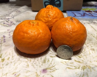 Tangerine Dancy Tree - 10 Seeds