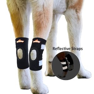 Dog Leg Brace Canine Rear Leg Hock Support with Safety Reflective Straps for Hind Leg Wounds Heal and Injuries and Sprains from Arthritis