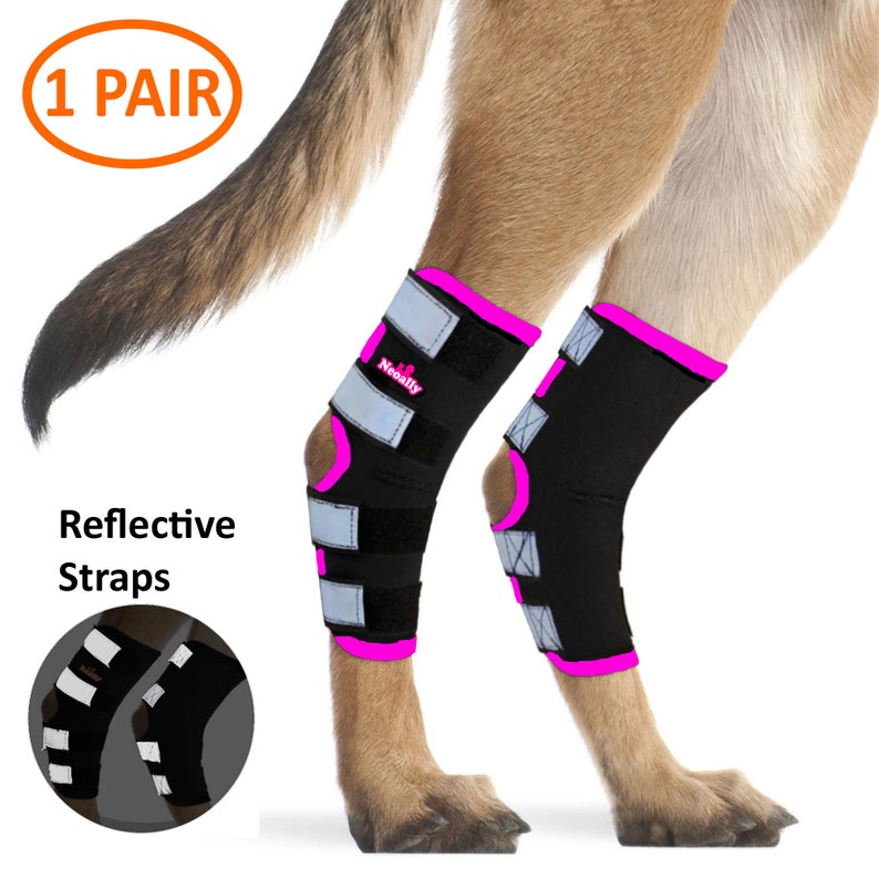 NeoAlly Dog Rear Leg Braces Pair Canine Hind Hock Wraps with Etsy