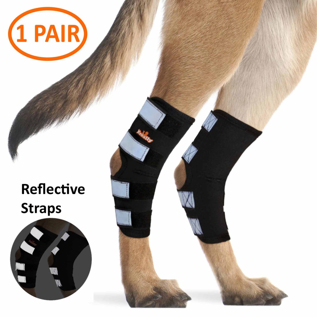 Dog Leg Braces for Back Leg wrap hock Compression Protects Wounds and