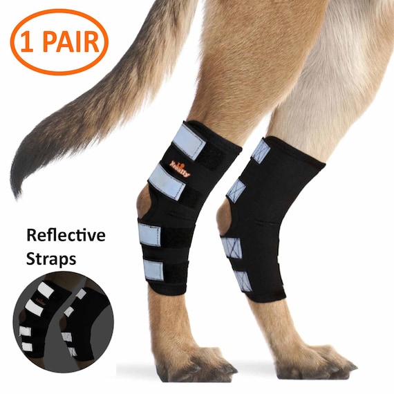 Neoally Dog Rear Leg Braces pair Canine Hind Hock Wraps With Safety Reflective Straps Etsy Canada