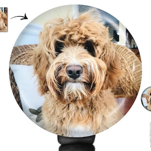 Custom Pet Photo Badge Reel: Personalized Dog & Cat ID Holder