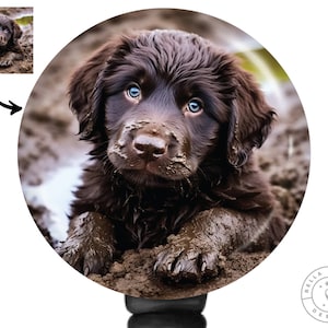 Custom Pet Portrait Badge Reel: Personalized Dog & Cat Photo Gift