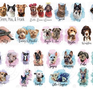 May include: A collection of watercolor-style pet portraits featuring various dogs, cats, a turtle, and a rabbit. Each animal is depicted with its name written in cursive or print text below, including names like Bean, Grem, Moo, Frank, Bella, Bruno, Brownie, Spork, Staley, Theo, Taffy, Teddy, Mackie, Baylie, Ava, Byrdie, Winston, Ziggy, Fozzie, Benji, Beans, Charlie, Sugar, Whiskey, Lulu, Maverick, Mimi, Daisy, Blacky, Frankie, Ollie, Sapphire, Mellow, and Tucker.
