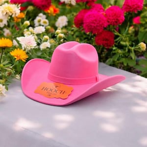 Suede Cowboy Hat Pink - Etsy display picture 1