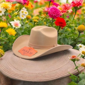 Peut inclure: Un chapeau de cowboy en feutre beige avec un large bord et une bande en cuir marron. Le chapeau porte une &eacute;tiquette indiquant "HOOCH Hat Co."
