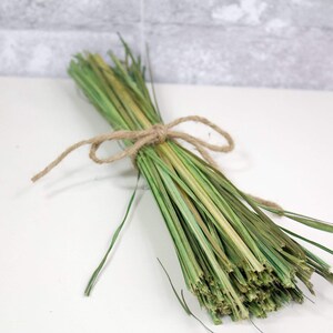 Bouquet Grass