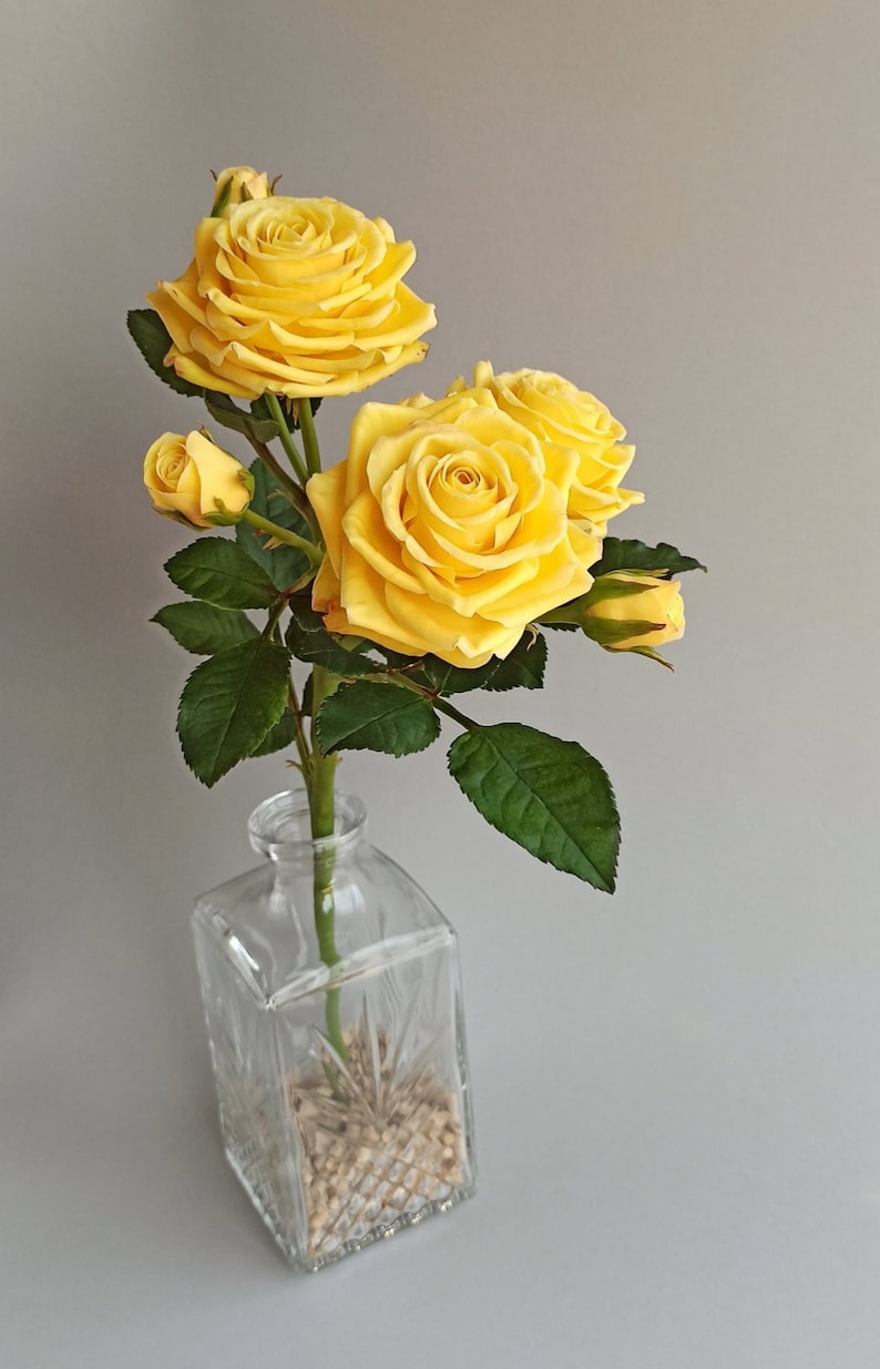 May include: A bouquet of yellow roses in a clear glass vase with a textured surface. The vase is filled with small white stones.