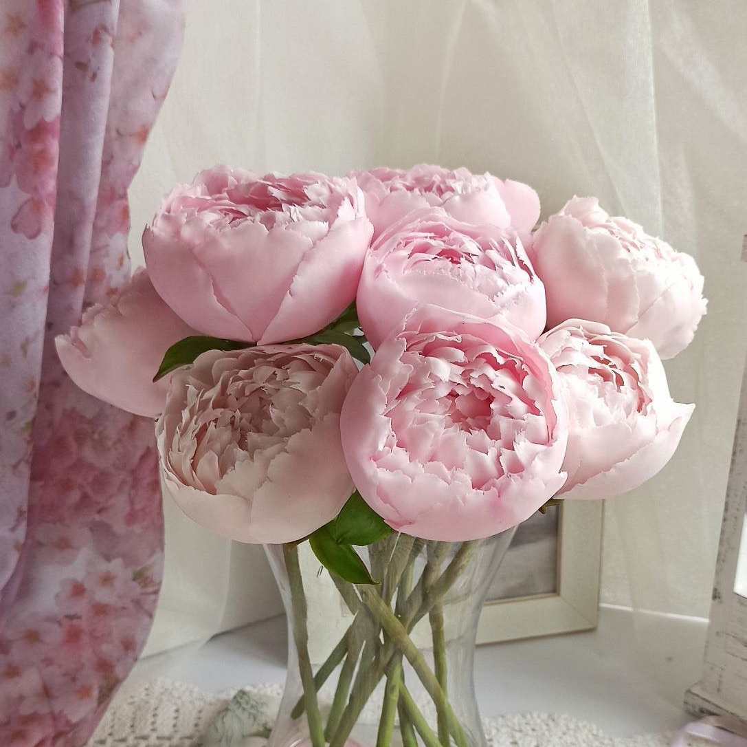 Bouquet Di Peonie Rosa Su Fondo Bianco. Cartolina Di Auguri Di Buon Compleanno O Giorno Di
