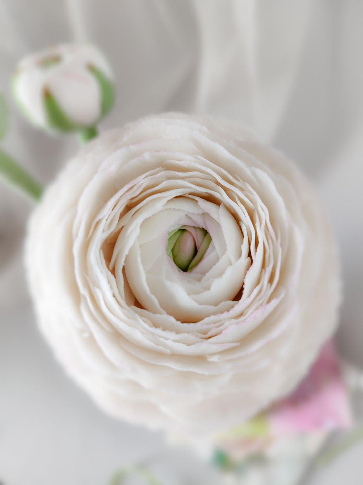 EDG - Enzo de Gasperi Pianta Ramo Ranuncolo Avorio Artificiale con Foglie, Fiore Finto Realistico per Decorazioni H50 cm