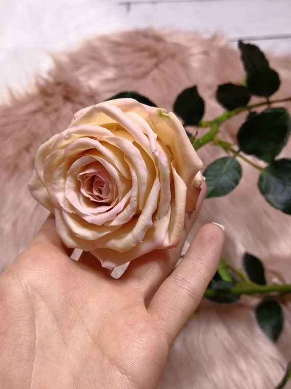 Rose en porcelaine froide. 