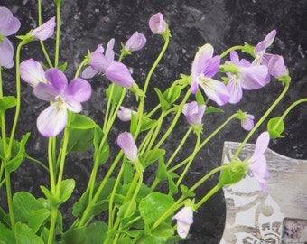 Pansies. Pansy flowers. Viola. Violet flowers. Violet bouquet.  Spring bouquet. Clay flowers. Handmade flowers. Floral home decor.
