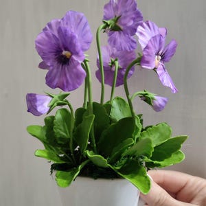 Puede incluir: Una pequeña taza de cerámica blanca con un arreglo de flores de pensamiento morado. Las flores están hechas de arcilla polimérica y tienen hojas verdes.