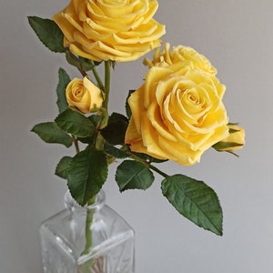 May include: A bouquet of three yellow roses in a clear glass vase with a textured surface. The roses are arranged in a simple, elegant style.