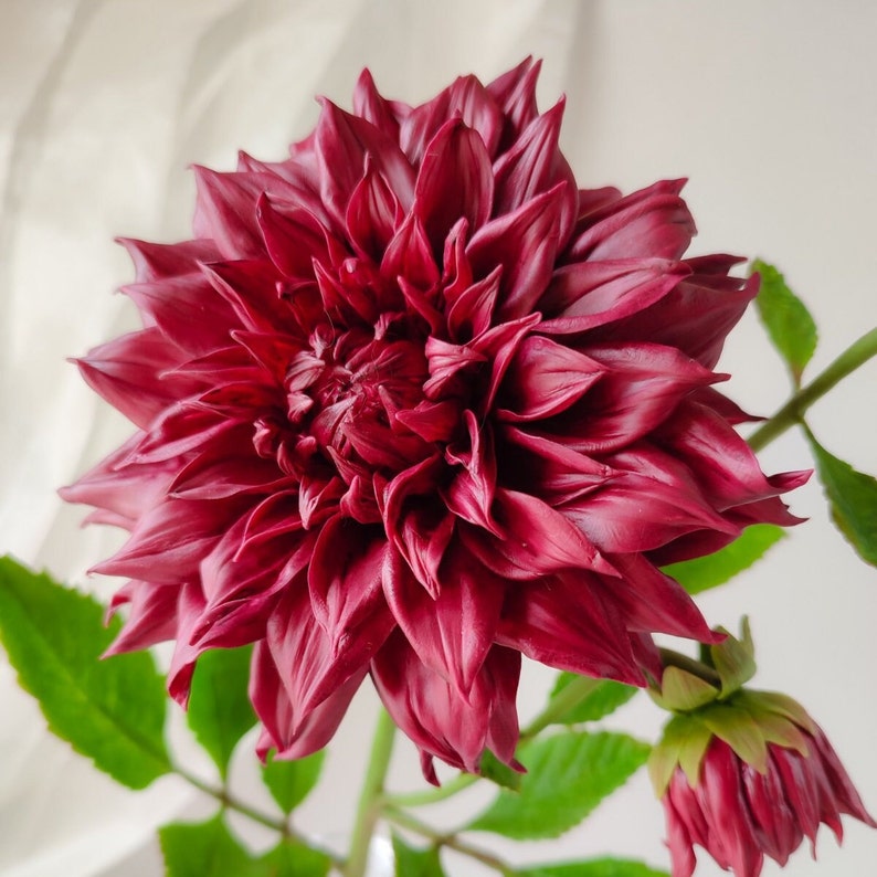 Dahlia flower for floral home decor. Burgundy flowers. Interior bouquet. Flower in vase. Handmade flowers. Cold porcelain flowers. image 1